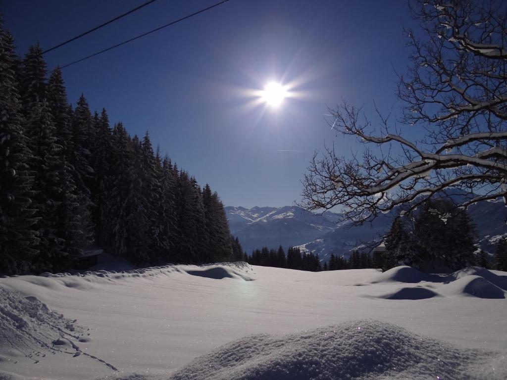 Das Sonnleiten Ski- Und Motorradhotel Bruck Im Zillertal Bruck am Ziller 외부 사진
